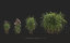grass includes growfx files 3D model