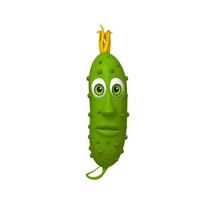 3D pickle cucumber cartoon model