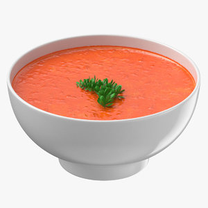 3D tomato soup model