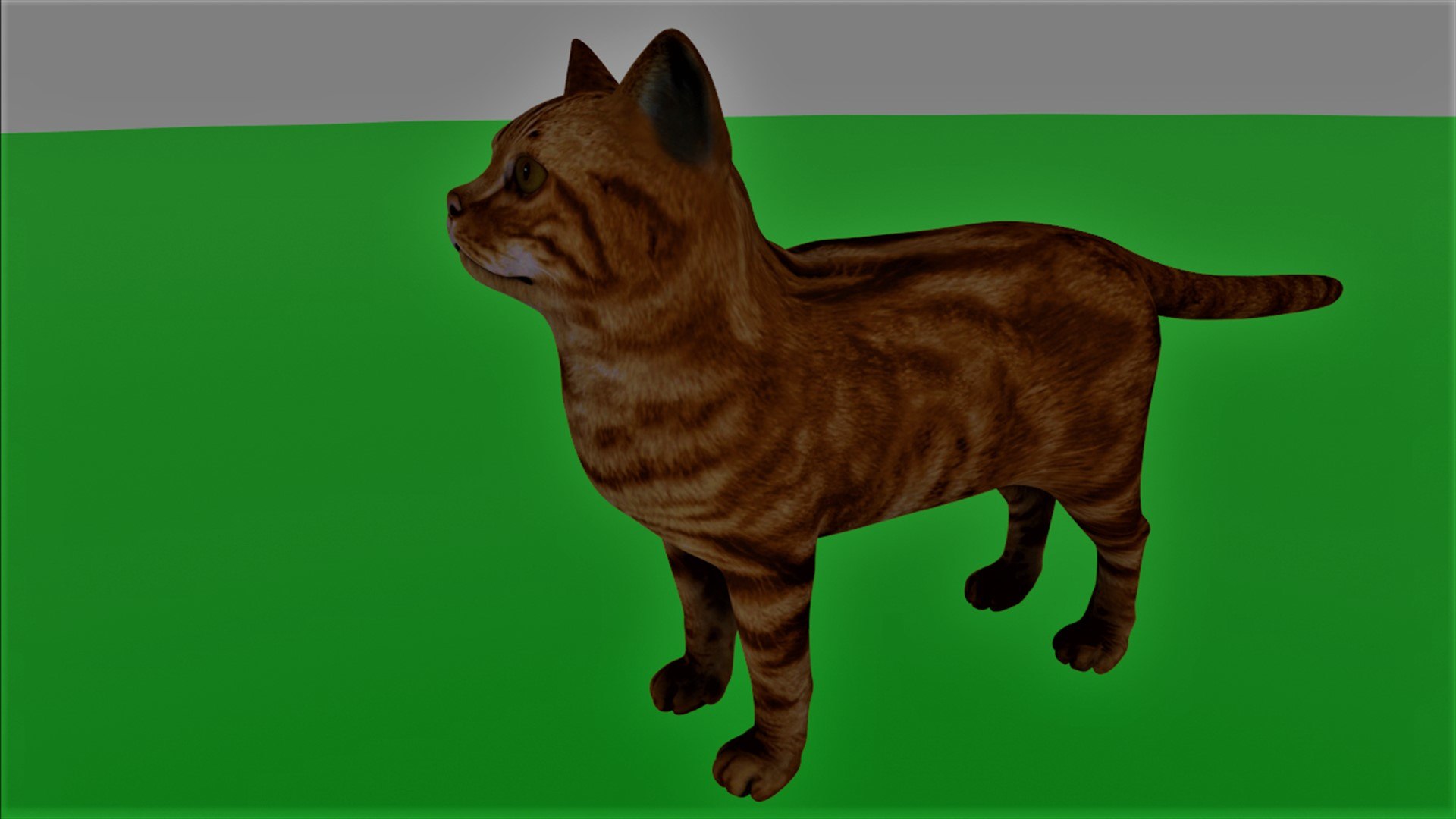 Cats animal 3D - TurboSquid 1651444