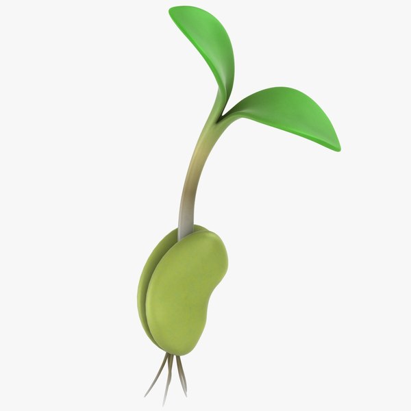 What Makes A Growth Hacker?