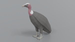 3D vulture blender