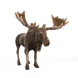 moose cartoon rigged 3D model