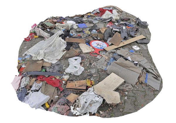 Why Kids Love Top Article On Buy Succulents Online