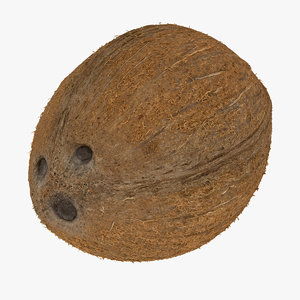 3D coconut 04 raw scan model