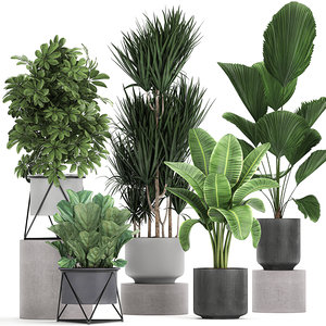 3D plants flowerpots pots