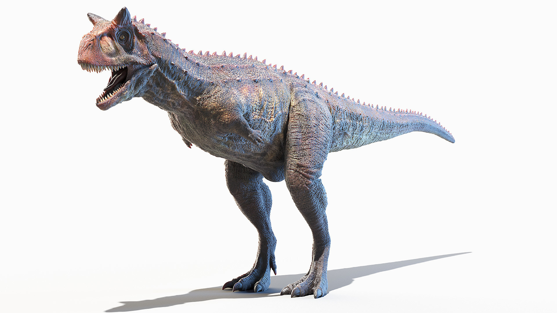 carnotaurus 2020