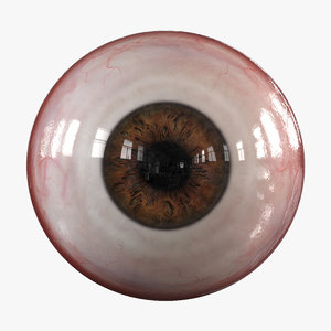3D human realistic eye pupil model