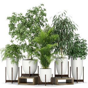 3D plants 350 model