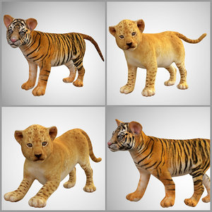baby lion tiger 3D