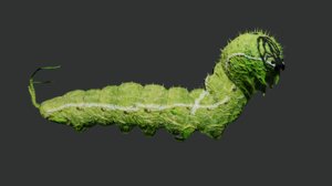 3D model caterpillar rigged
