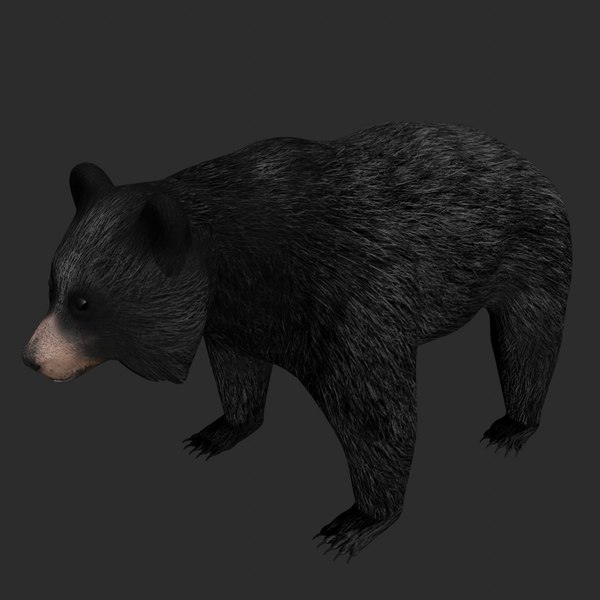 Bear Blender Models for Download TurboSquid