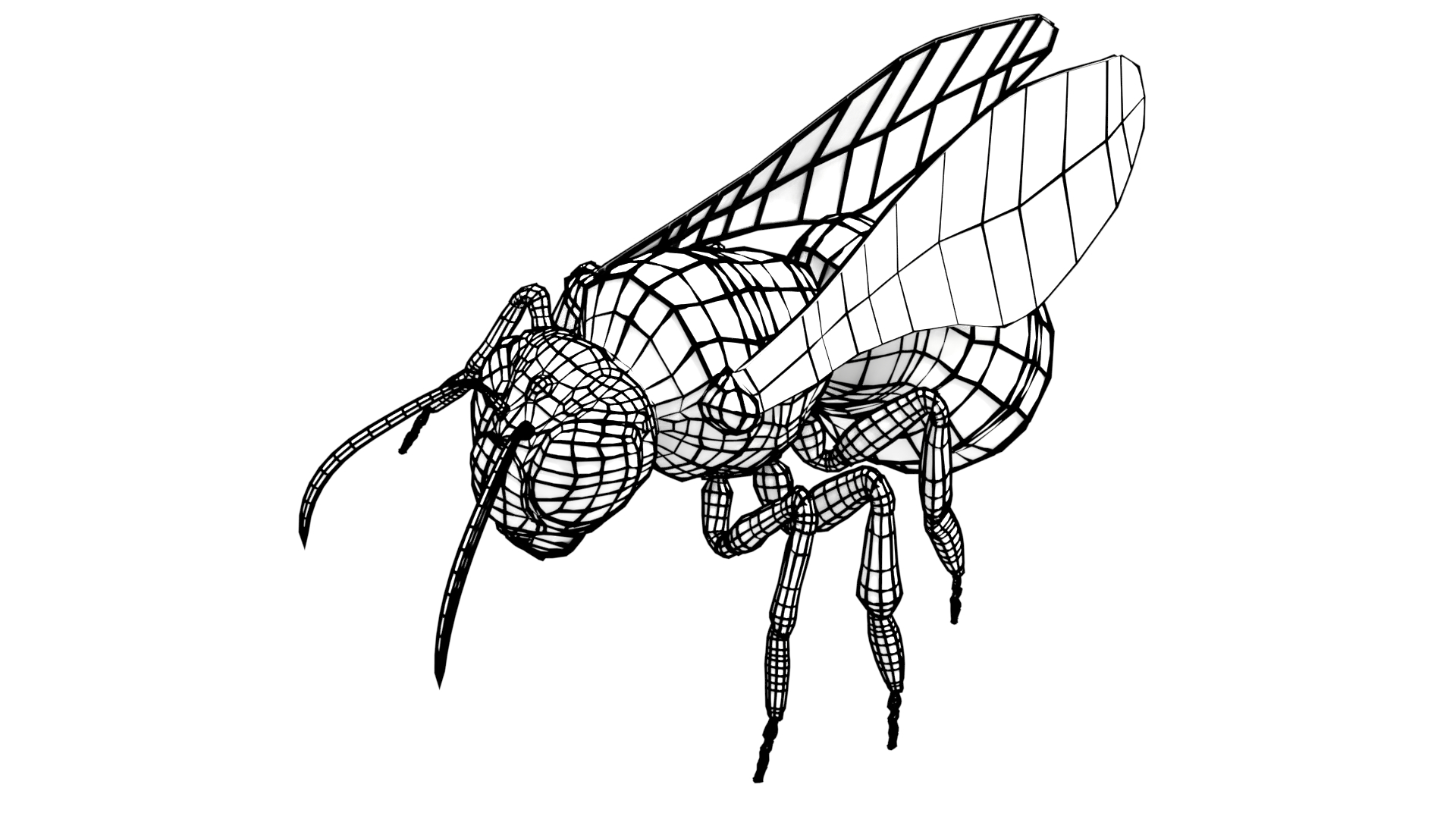 jungle collection low poly rigged3d模型