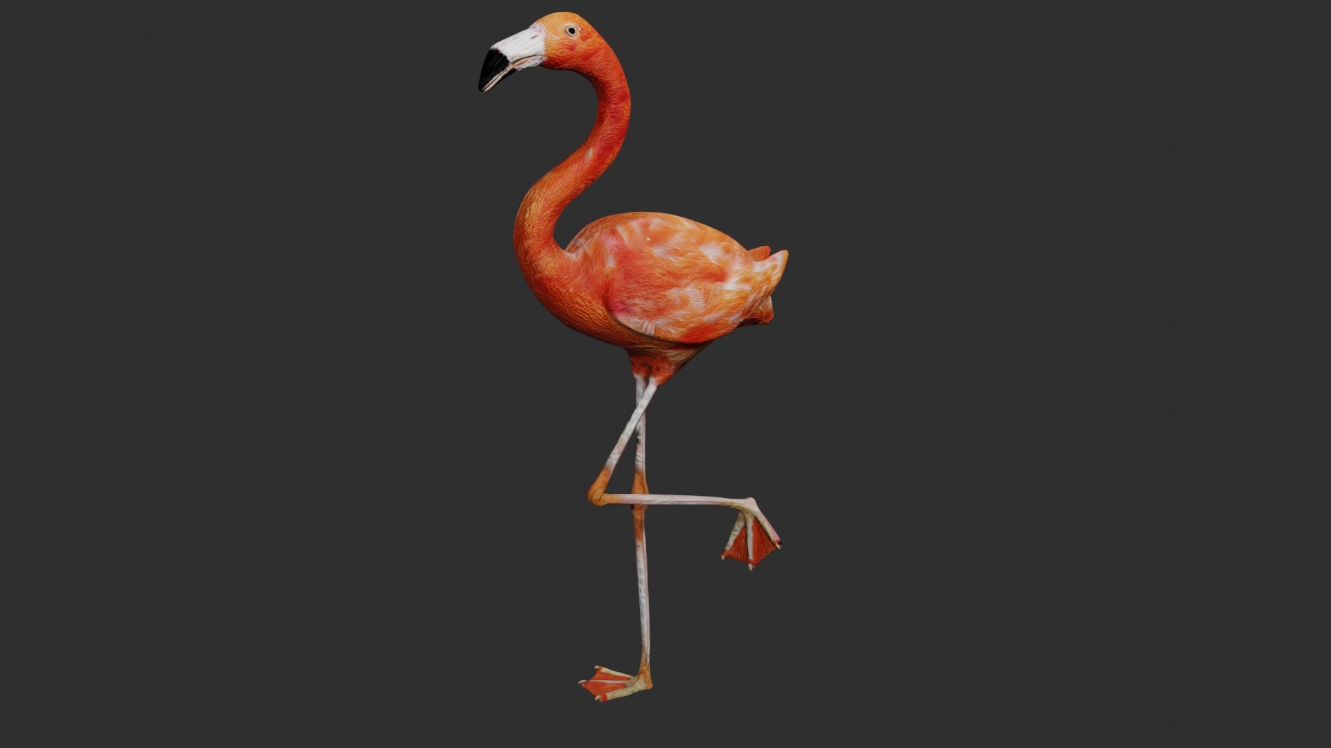 jungle collection low poly rigged3d模型