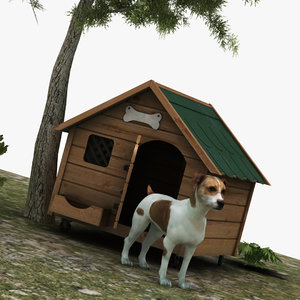 dog house 3D