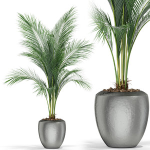 plants 399 3D model