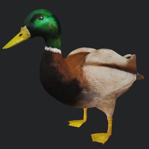 3D mallard duck rigged