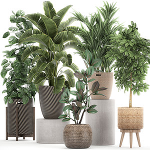 3D ornamental plants rattan baskets
