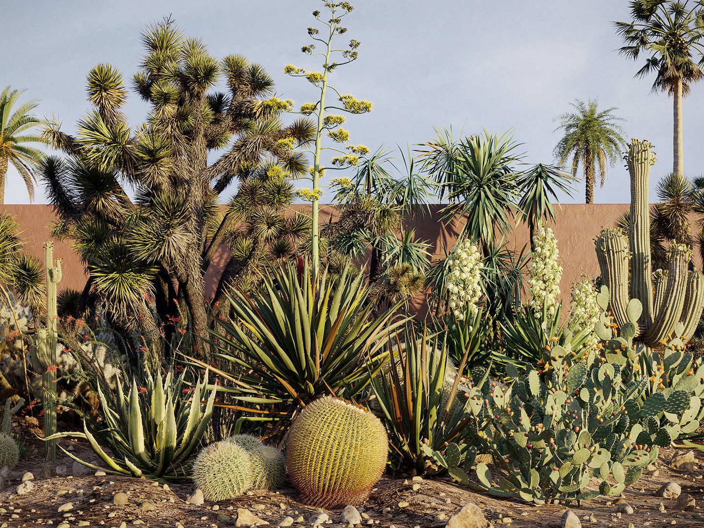 3D tropical desert plant includes model TurboSquid 1650875