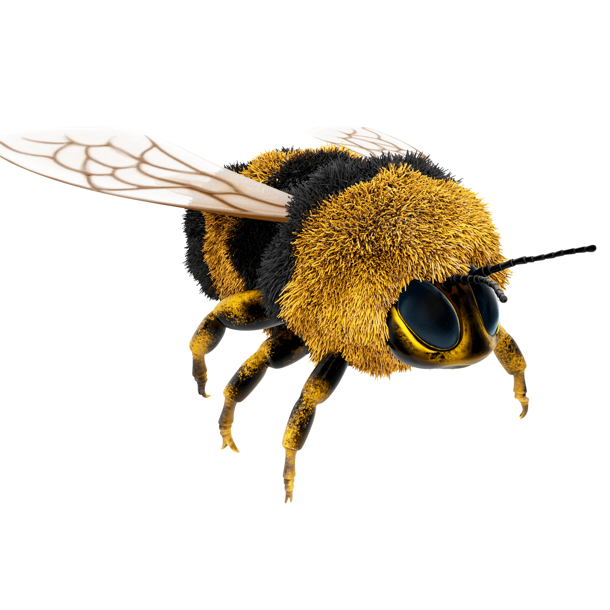 bumblebee cartoon rigged animated3d模型