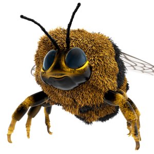 3D bumblebee cartoon rigged animation