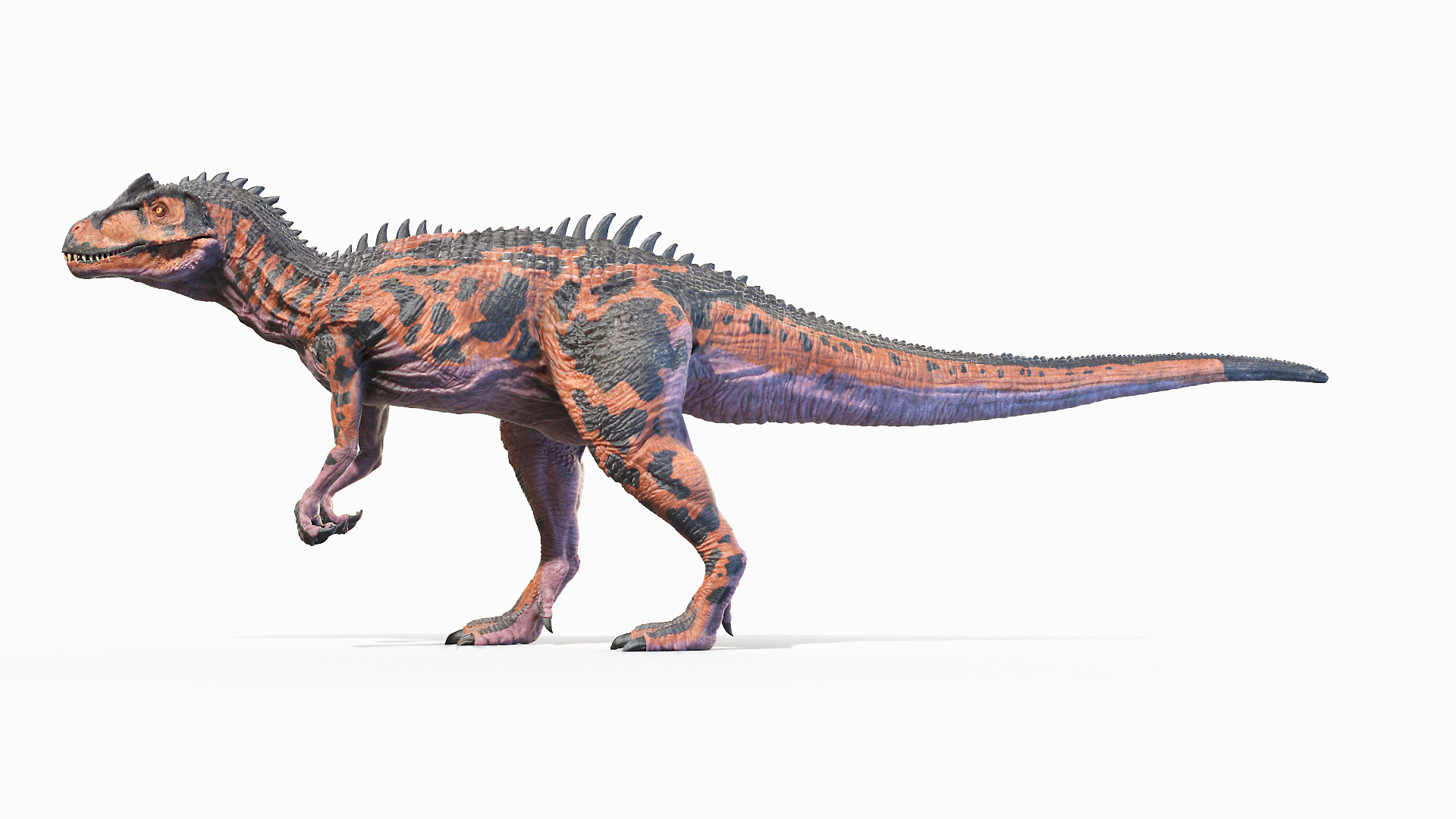 allosaurus 2020