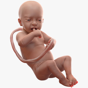 3D baby boy 32 weeks