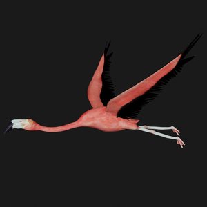 flying flamingo rigged 3D model