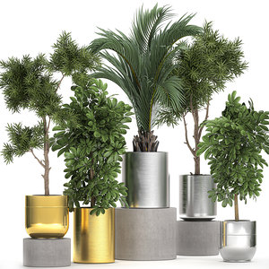 3D ornamental plants chrome flowerpot