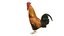 chicken farm objets 11 3D