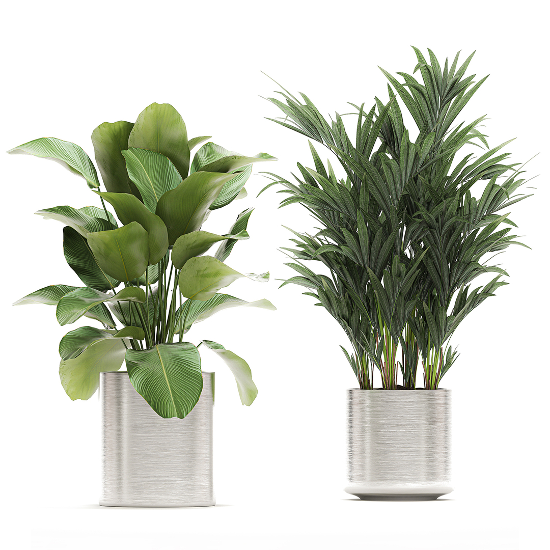 3D ornamental plants chrome flowerpots - TurboSquid 1660967