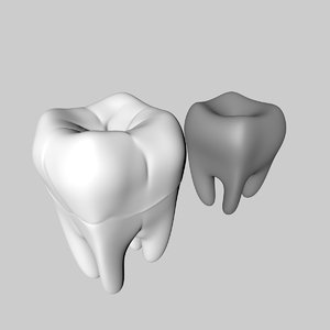 mouth teeths 3D model