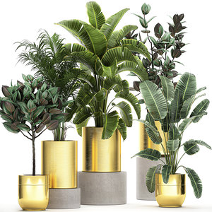 3D model plants gold flowerpots