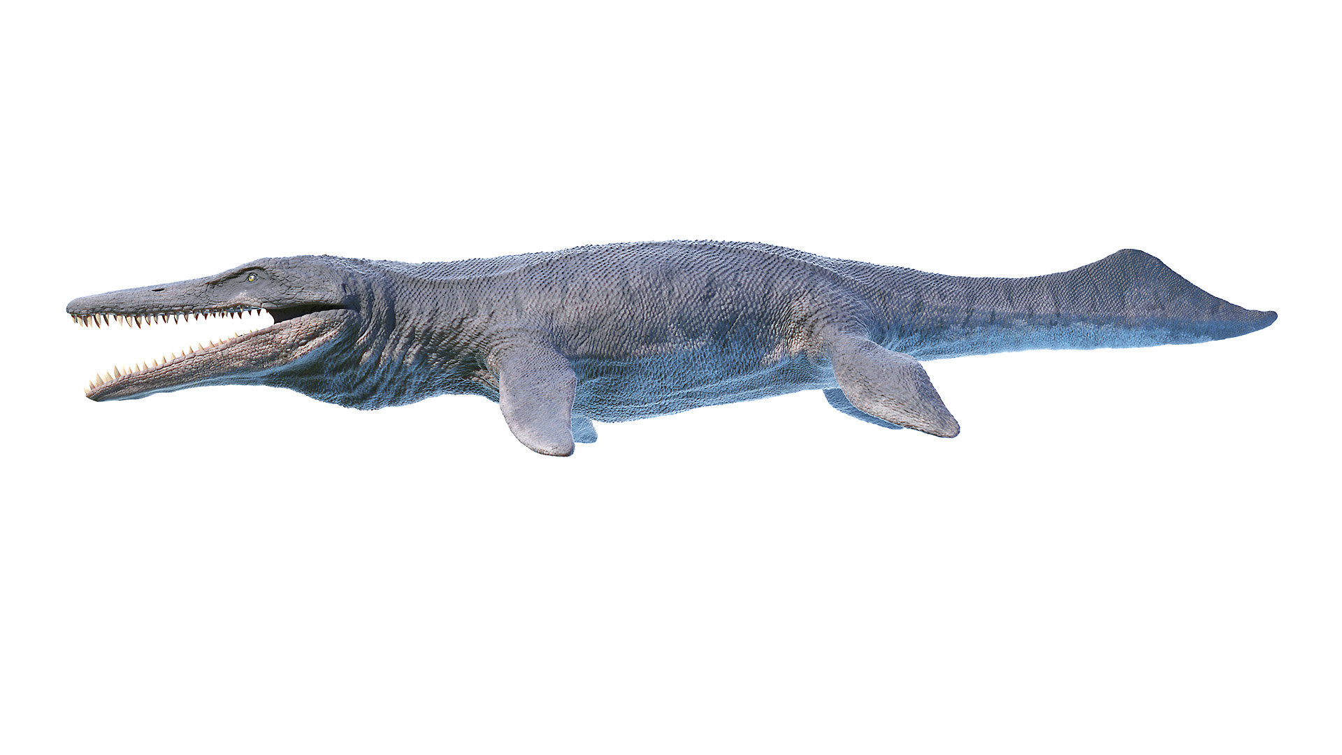 kronosaurus and mosasaurus