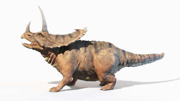 3D Pentaceratops Horn - TurboSquid 1663809