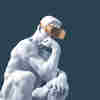 member avatar