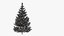 3d pine fir tree snow model
