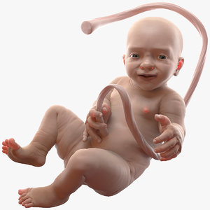 3D baby boy 38 weeks