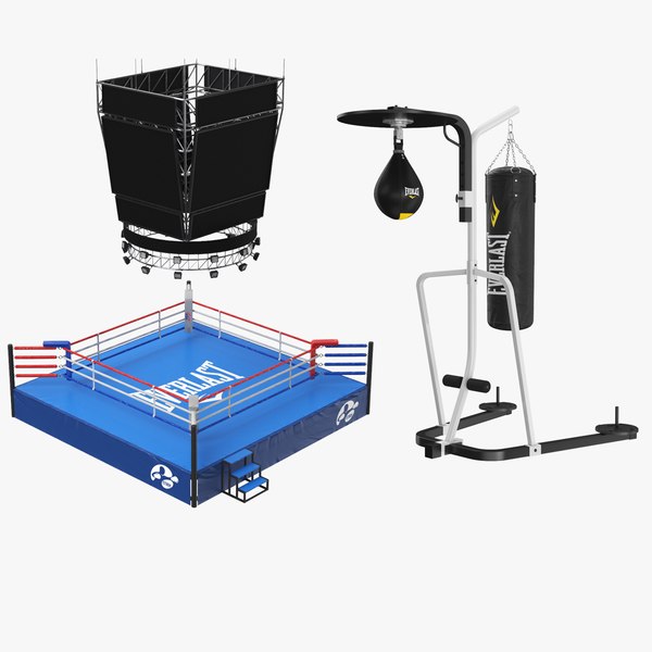 3D real boxing ring