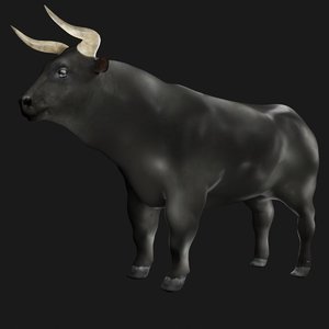 bull ox rigged model