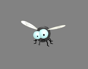 3D fly housefly insects model