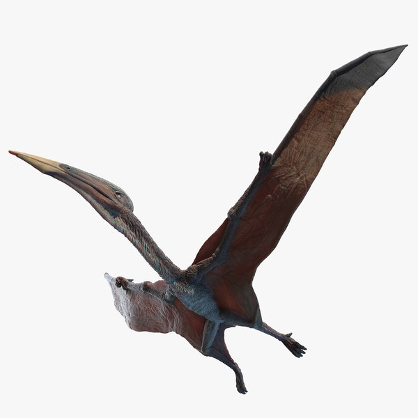 3D hatzegopteryx - TurboSquid 1668843