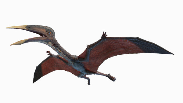 3D hatzegopteryx - TurboSquid 1668843