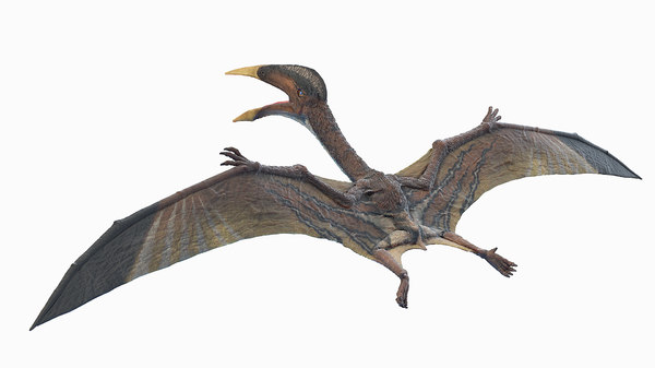 3D hatzegopteryx - TurboSquid 1668843