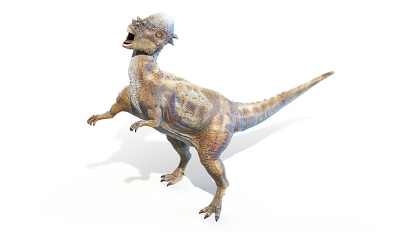 3d Pachycephalosaurus P Model Turbosquid