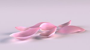 3D model flower petal s