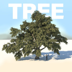 realistic cork tree leaves 3D
