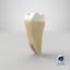 3D teeth human lower
