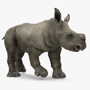 baby rhino rigged 3D model