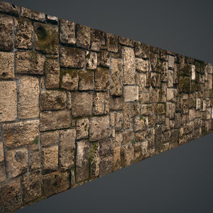 Mossy stone block wall